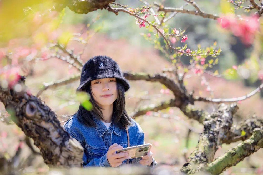 博羅象頭山桃花如期開春天按時來