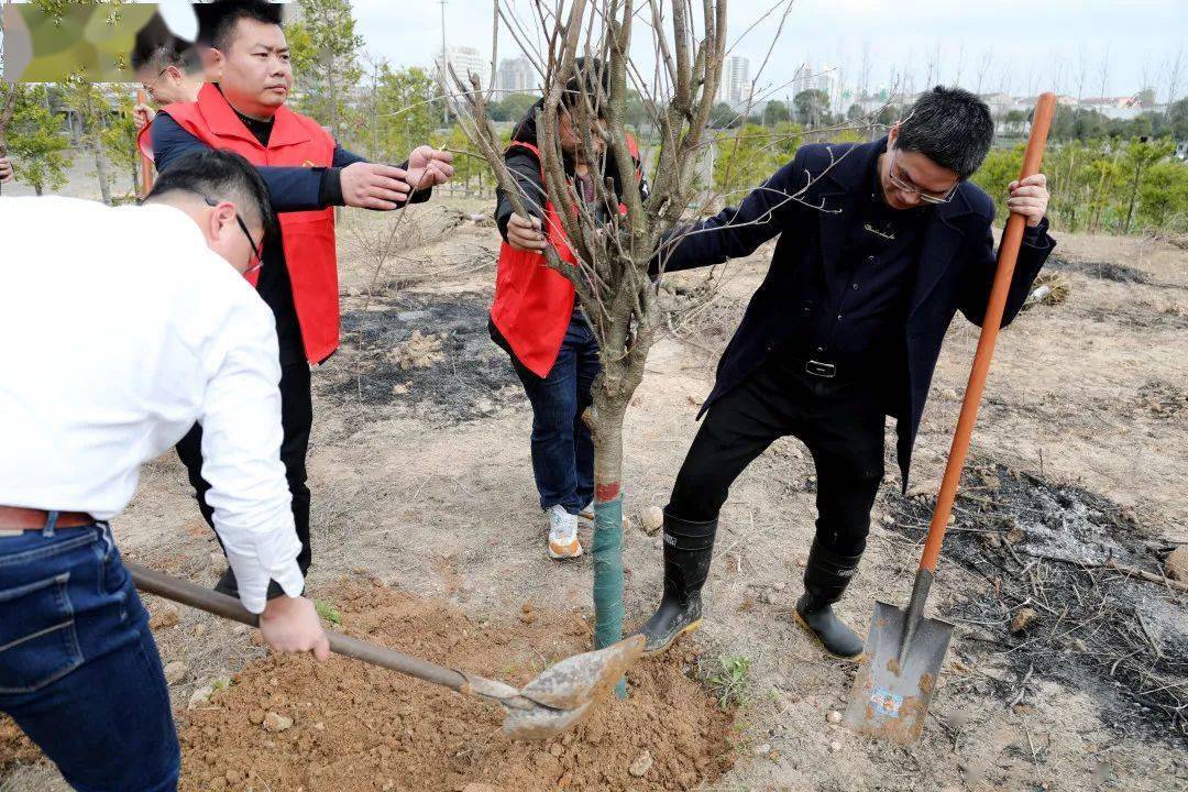 大溪:开展我为亚运种棵树植树活动