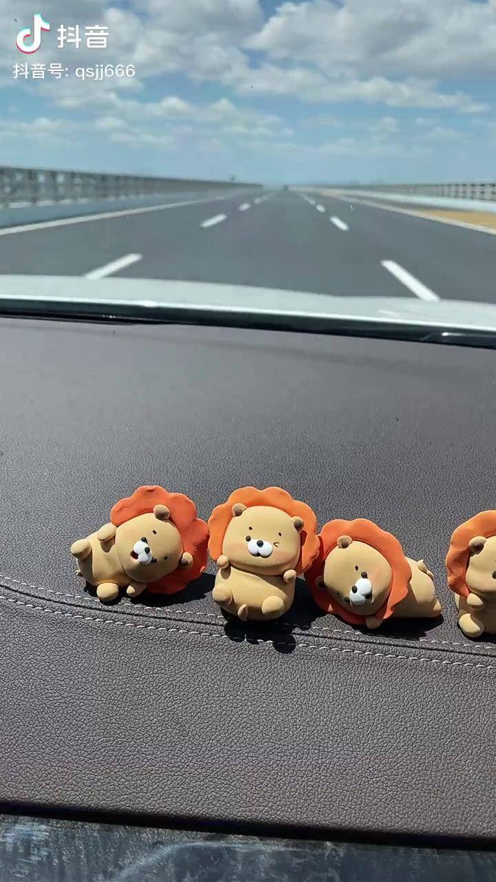 上个视频火了,那这个是不是你认识的那个铁憨憨车载