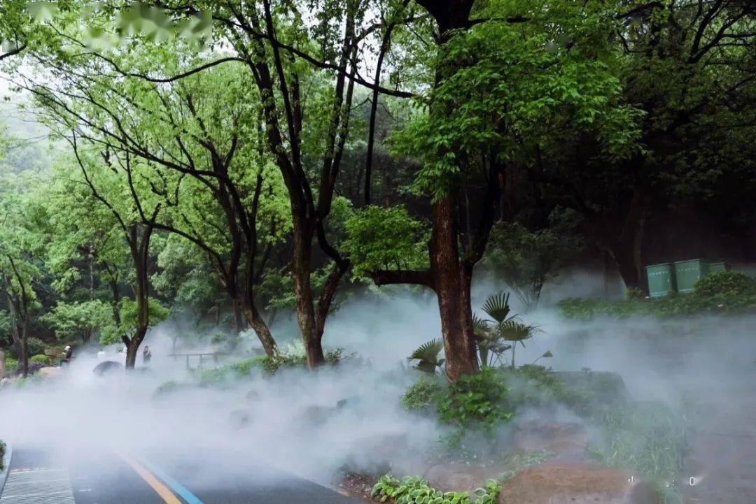 美出圈了跟着小红书打卡50000个临平模样