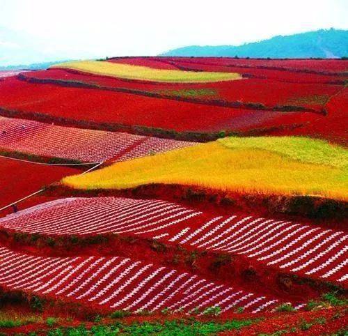 刚刚传来中国最新霸气相册全世界惊呆了