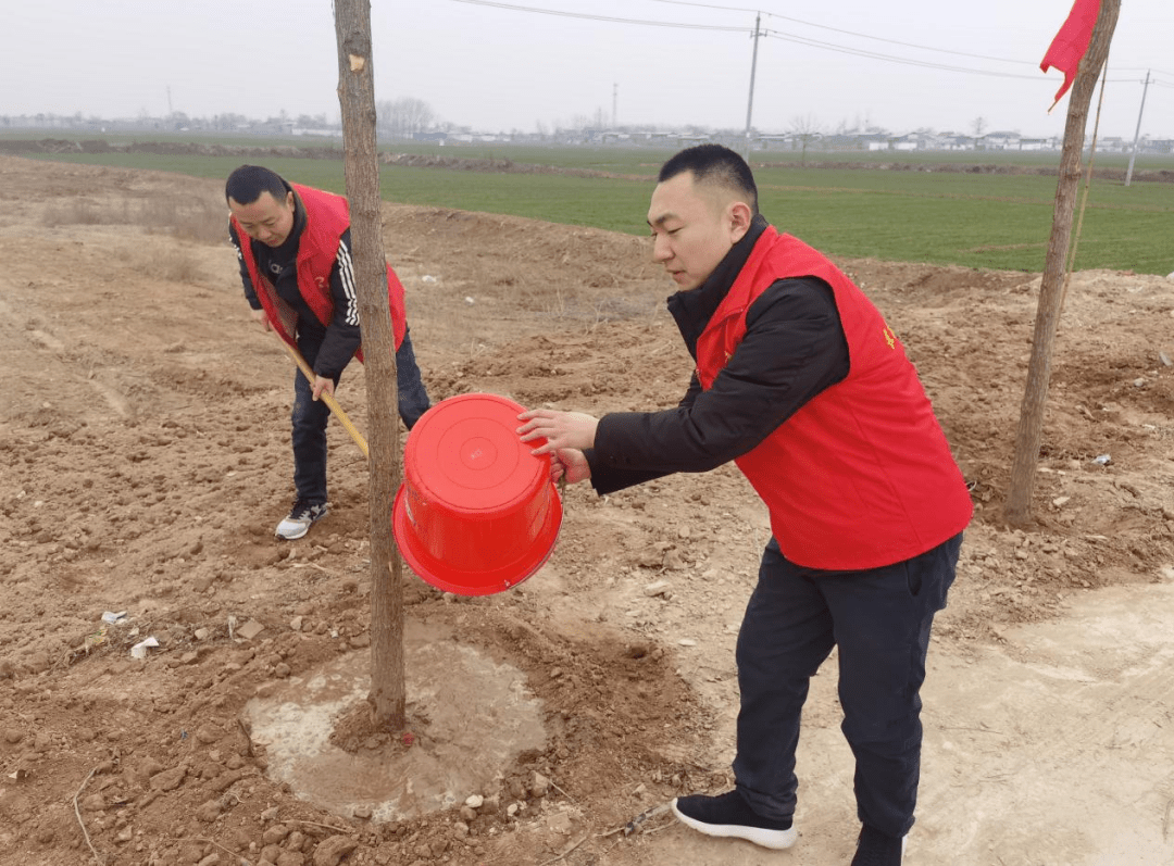 永远跟党走志愿耀青春团市委学雷锋志愿服务活动之植树护绿行动