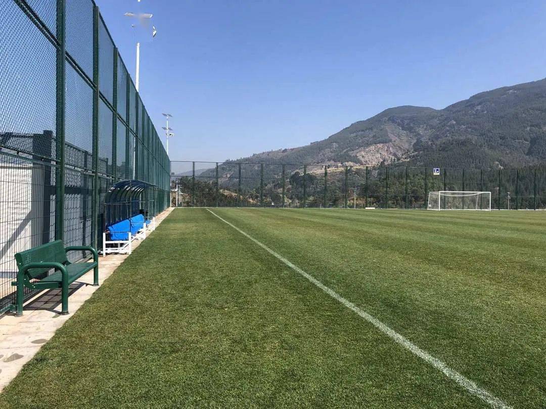 曹路视频 | 张乎 徐美玲 曹路编辑丨舒适往期推荐2022年群众体育工作