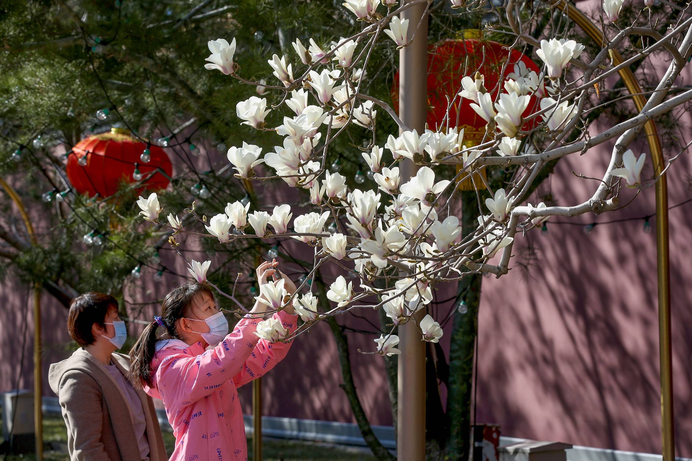 市民|北京推出111处公园赏花片区，家门口就有赏花好去处