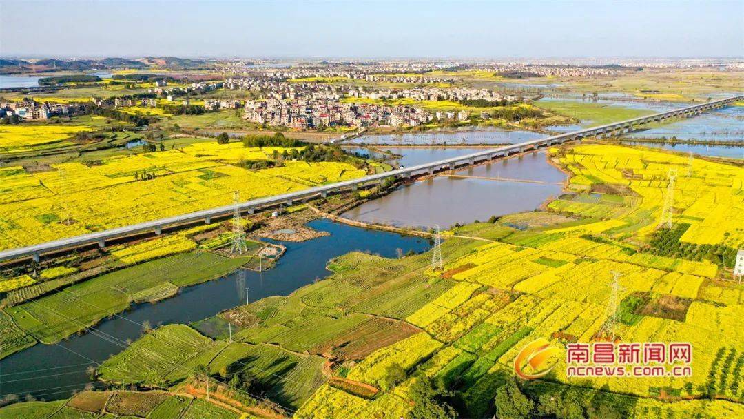 南昌迎来大发展!_鄱阳县_合作_鄱阳湖