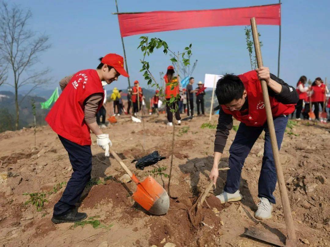 涪陵区各级团组织开展植树节志愿服务活动_大顺镇_珍溪镇_石沱镇