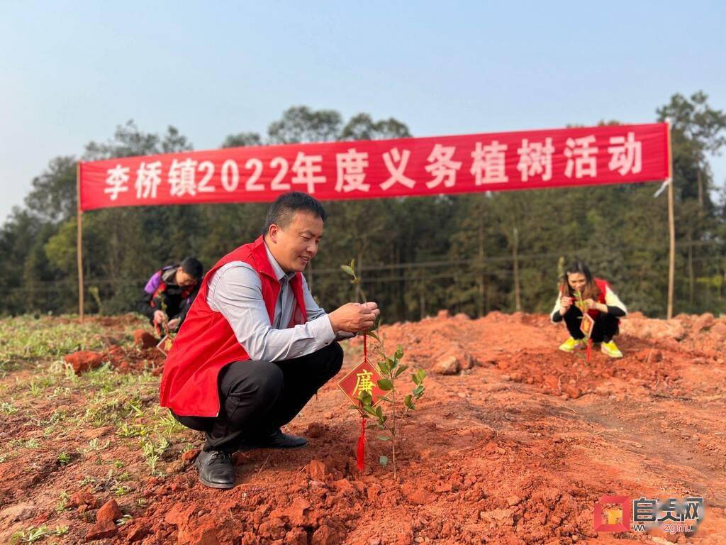 种廉洁小树做廉洁干部富顺县李桥镇开展廉洁主题植树活动