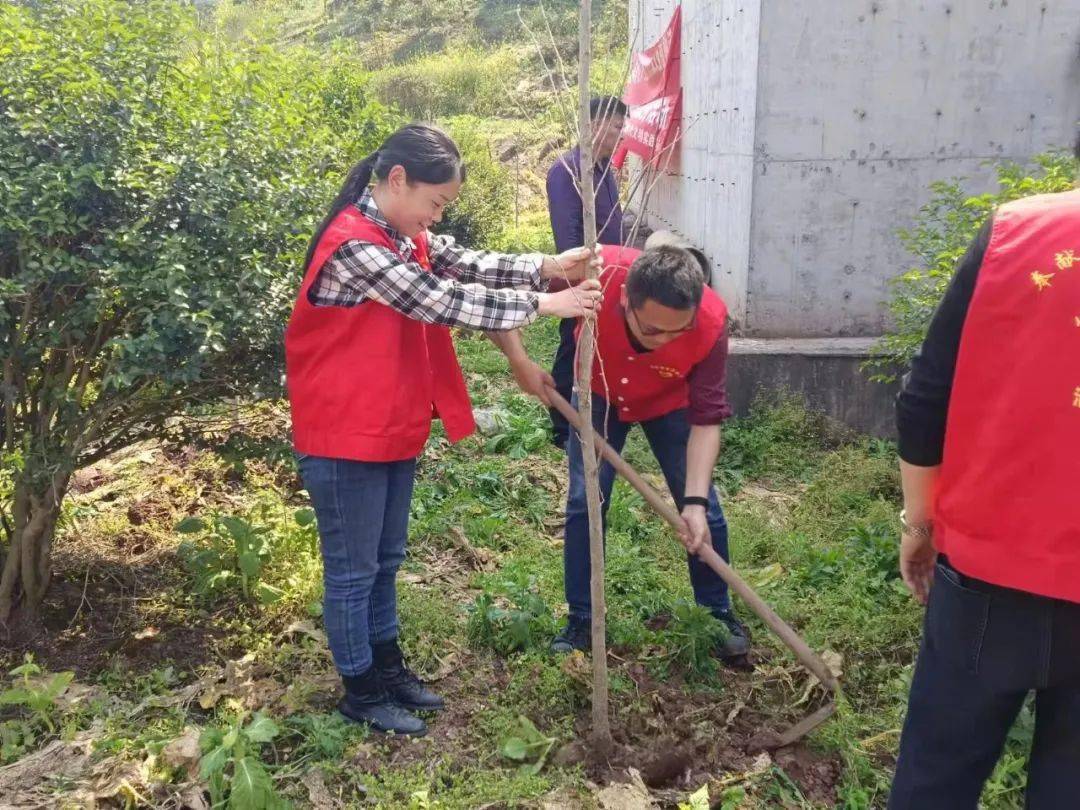 涪陵區各級團組織開展植樹節志願服務活動_大順鎮_珍溪鎮_石沱鎮