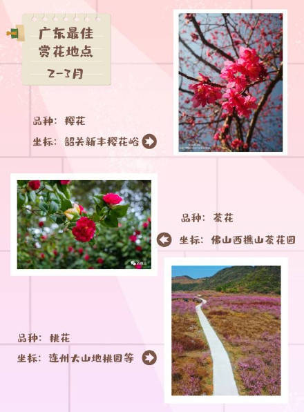 广东|怎样打卡广东春季花海？收好这份时间表