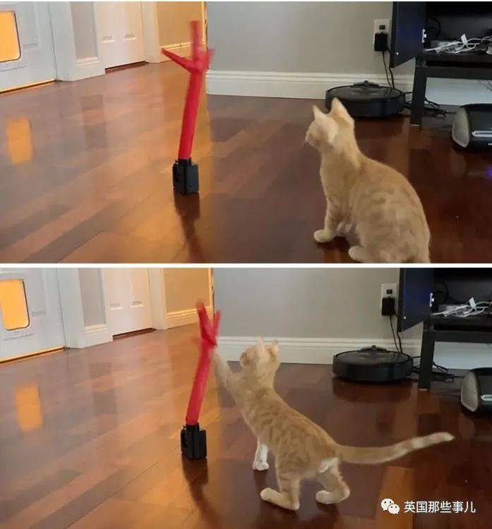 分之一网友分享脑洞大开的奇怪物件儿，看完都想马上拥有啊！