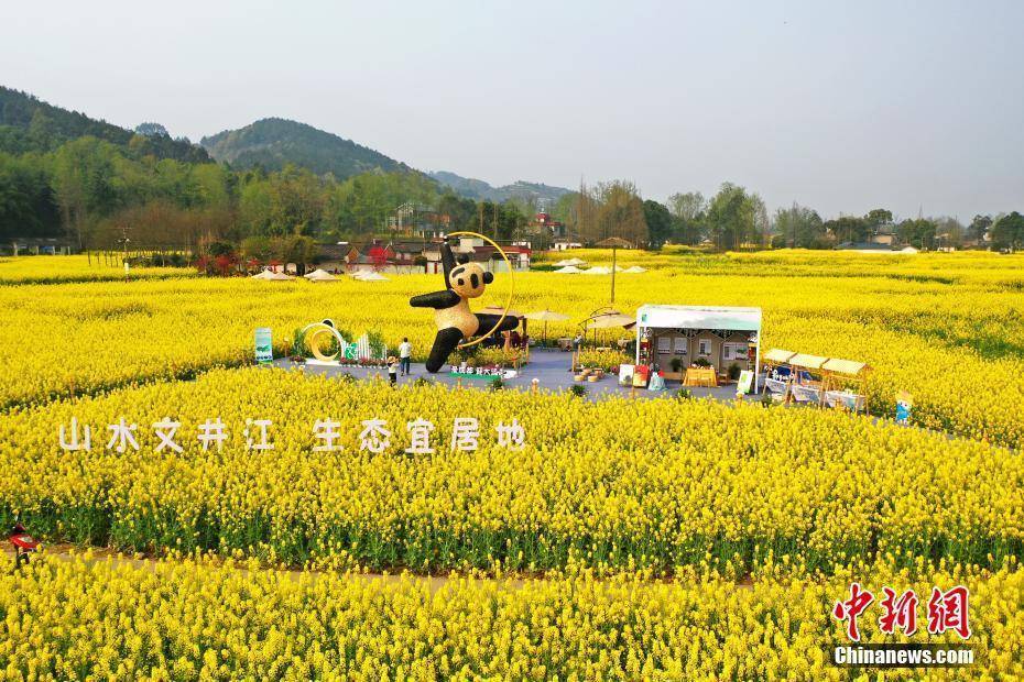 湖北|湖北秭归：春花映峡江