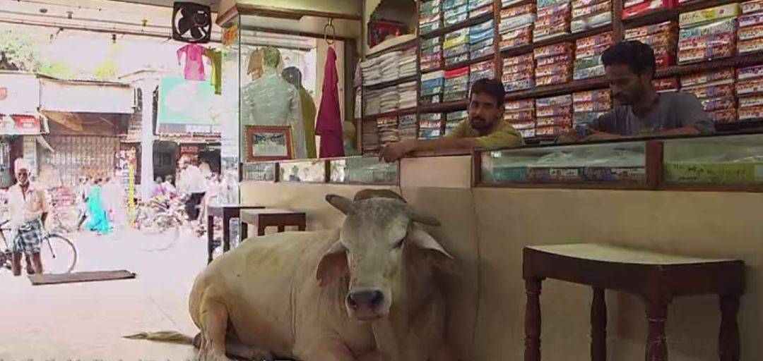 妇女为什么说印度纱丽是世界上最美的衣服？附17条印度冷知识