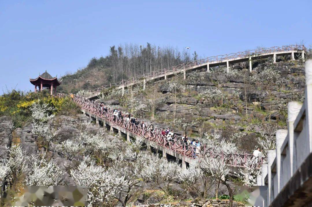 高速通车带火筠连乡村旅游