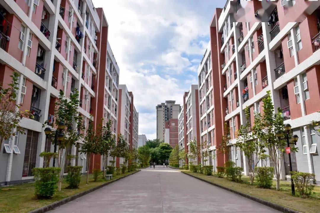 公办广东农工商职业技术学院录取分数学校环境宿舍介绍