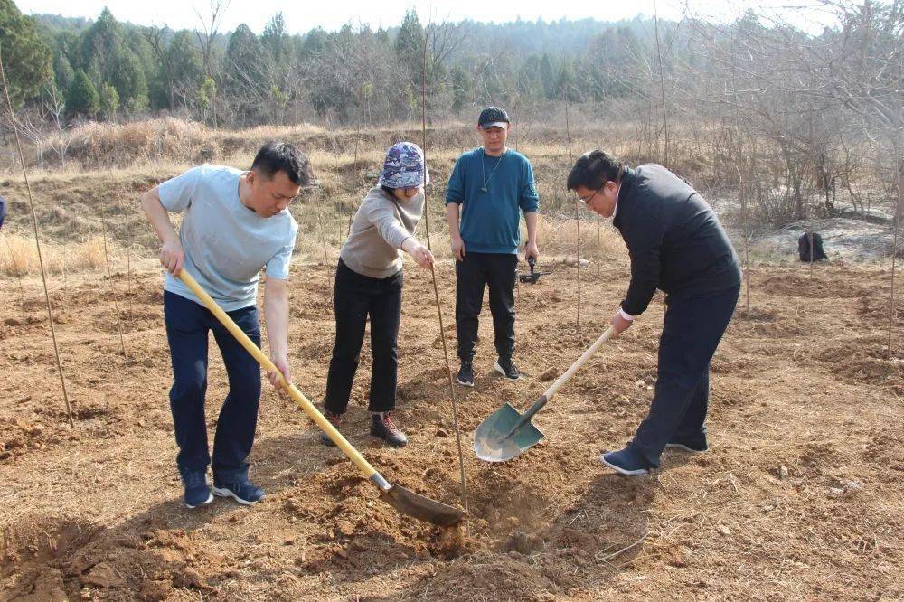 邹城市举办全市统一战线同心活动日暨走进郭里镇共建致富林主题活动