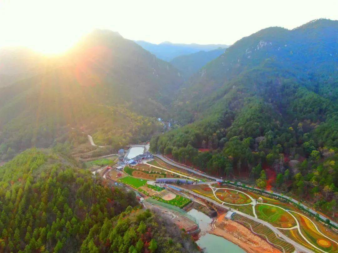 茶鄉花海景區內集花海觀光,紫藤長廊,時光列車,網紅打卡,牧童樂園,萌