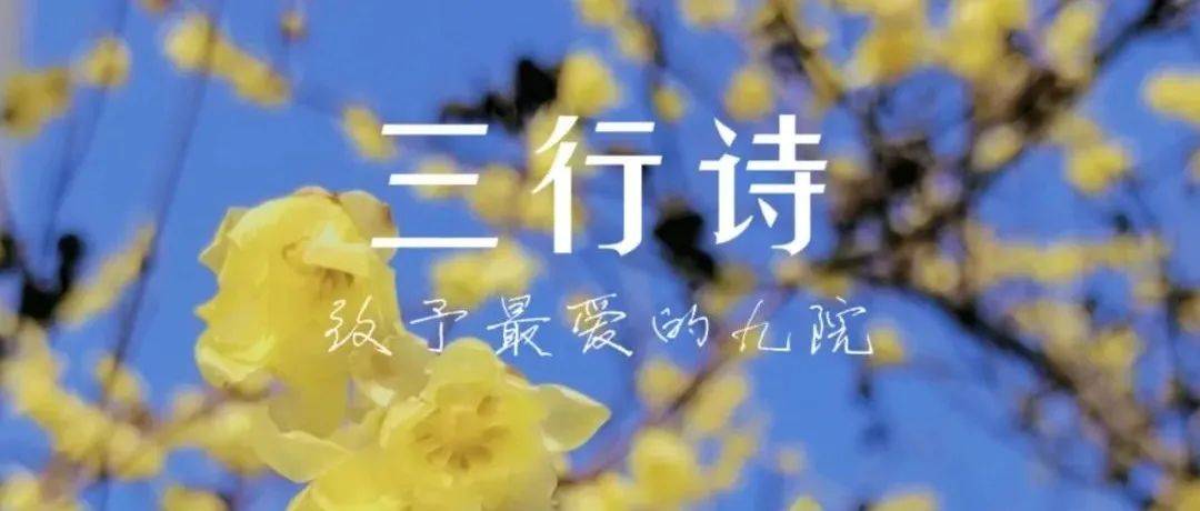 镜中九院，邂逅三行诗的浪漫_JJUers_良辰美景_校园