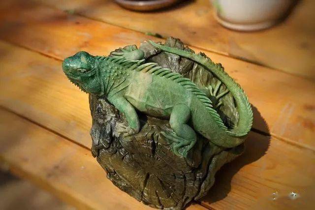 这个蜥蜴雕刻的神了不说还以为是只真的变色龙太灵动了