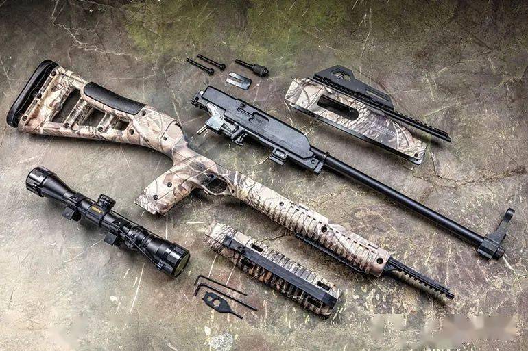 啥叫蓝领枪它就是代表支持diy便宜简单的hipoint武器公司995ts卡宾枪