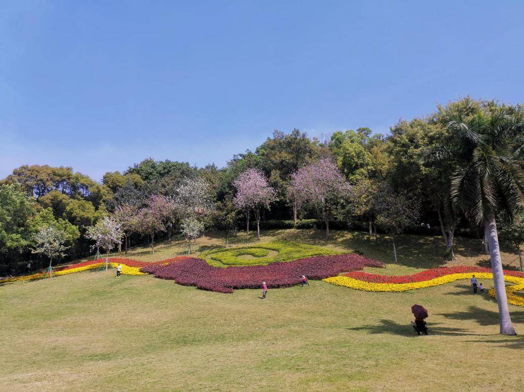 春暖花開,讓我們沿著地圖去白雲山賞花_黃花風_花園_枝頭