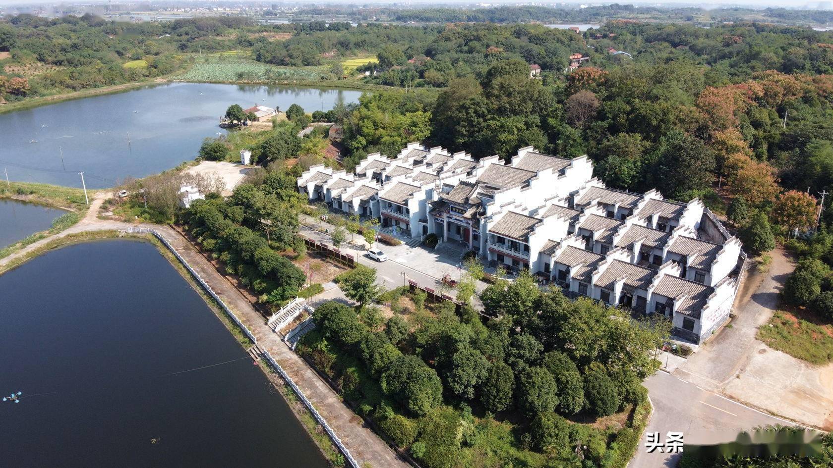 净堡新村入画来——嘉鱼县渡普镇净堡村创建"湖北省森林乡村"掠影