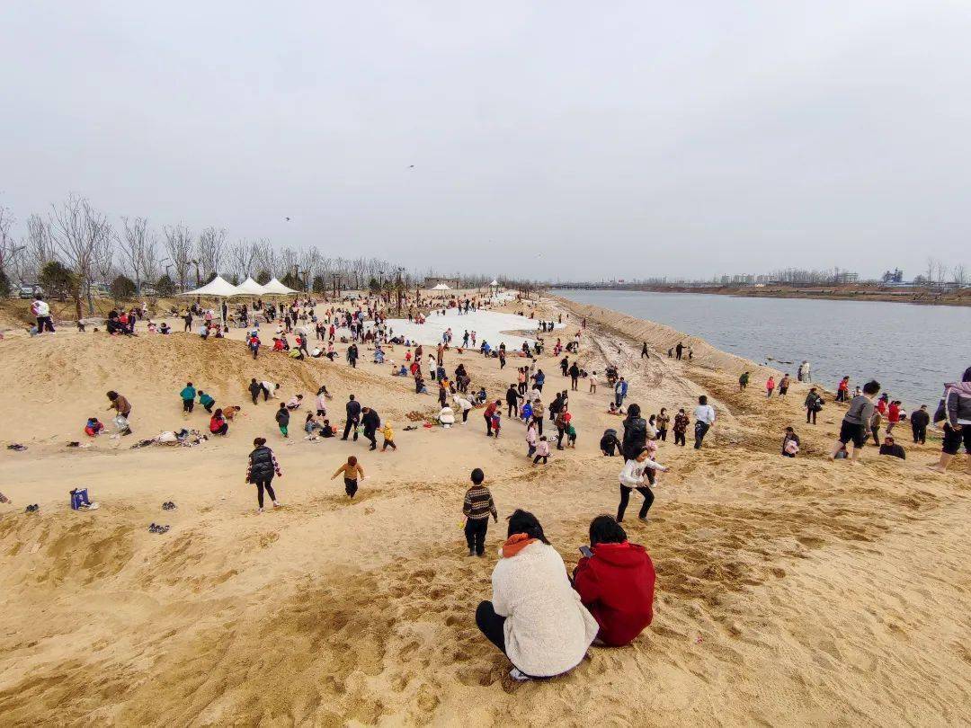 休息区|菏泽城区新增一处人工沙滩主题公园！位置在这里！