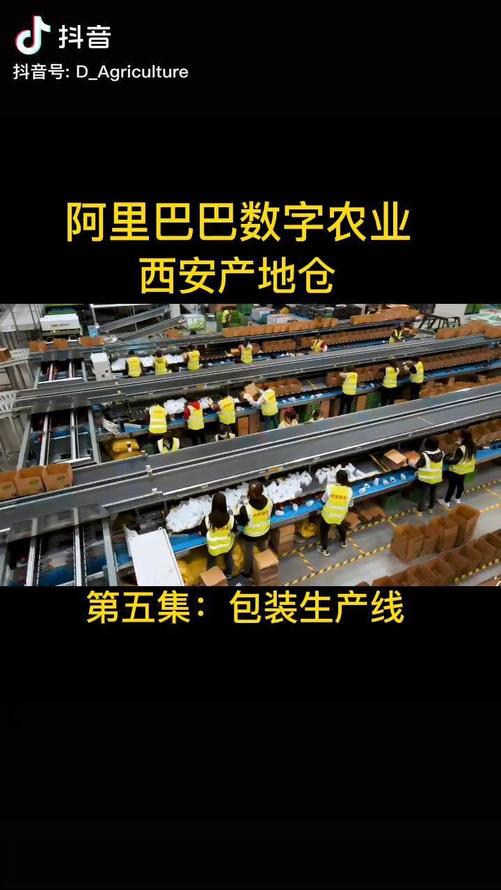 2020年阿里巴巴数字农业西安产地仓正式开业第五集包装生产线