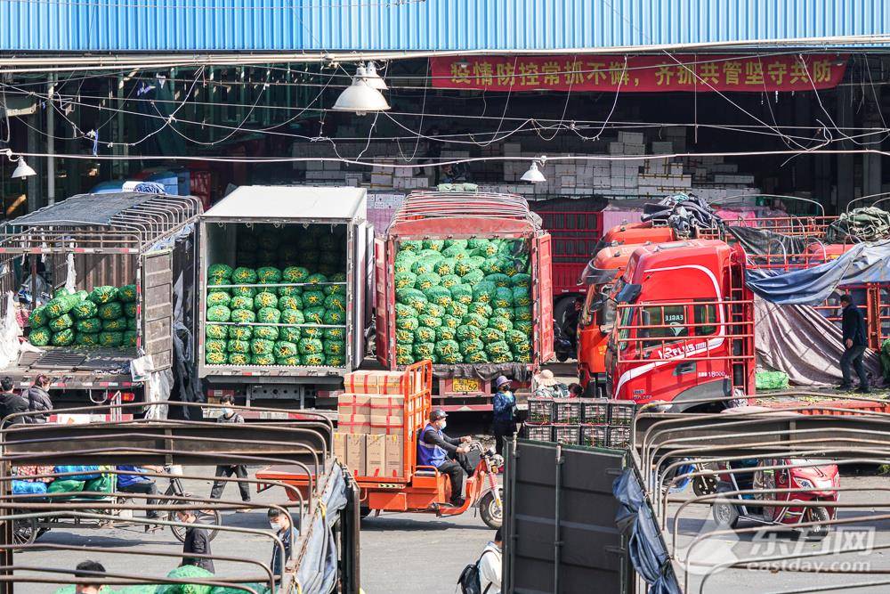 蔬菜够不够交易快不快记者今天深入采访上海江桥批发市场