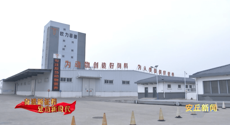 生姜批发行业的市场热度与前景展望