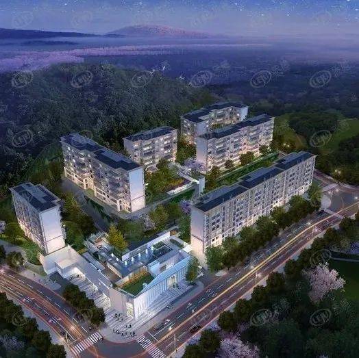 楼盘测评|中央公园品质大平层,建面价格约20800元/㎡_保利天_项目_户型
