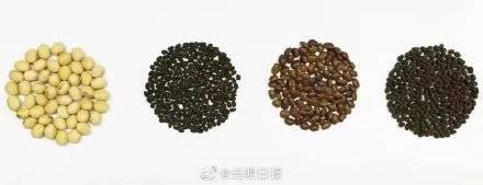 团队|山东农业大学团队找到选育大豆高产优质新品种的关键