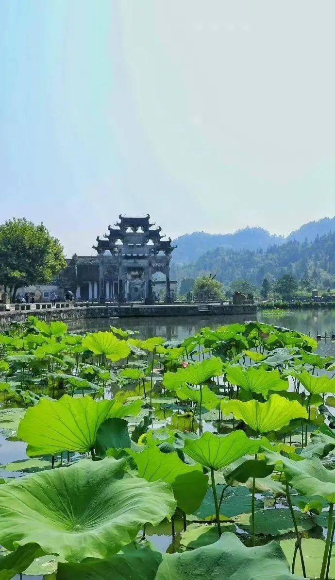 从时光隧道中走过的皖南古村落:西递_旅游_建筑_历史