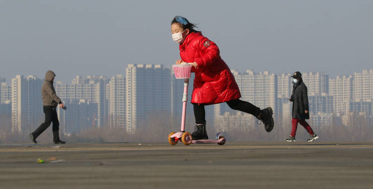 哈尔滨市|银装素裹春雪后