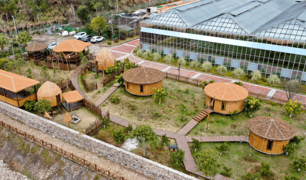 楠溪江有个非洲村已初具规模