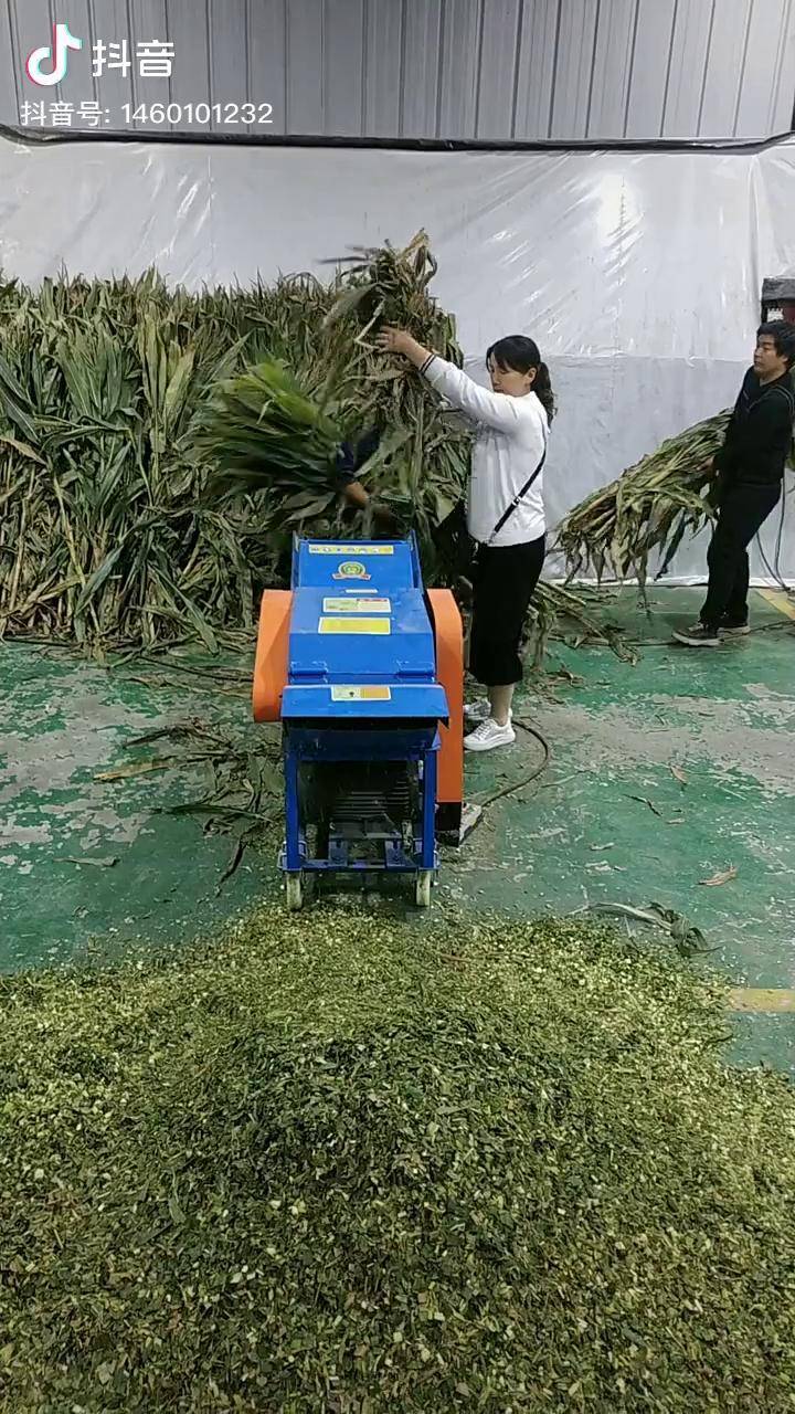 6吨卧式秸秆揉丝机铡草机牛