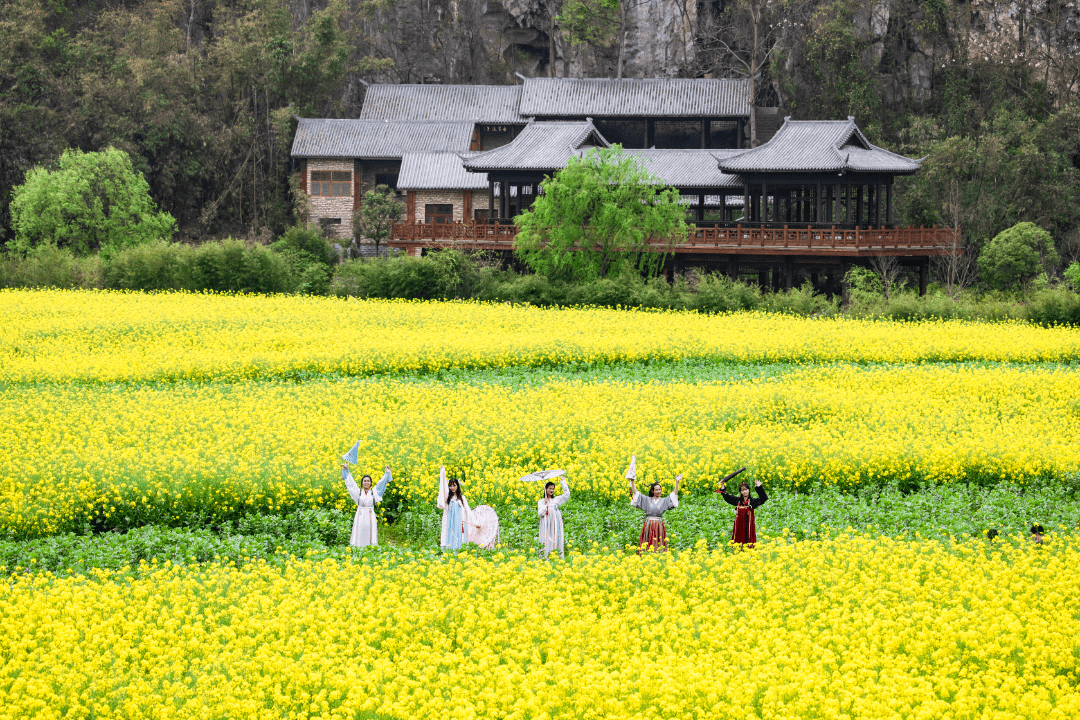 安顺赏花图片