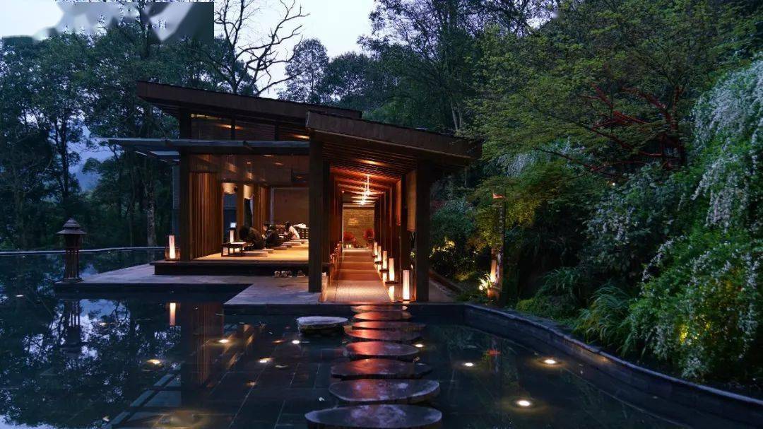 青城坐忘森林酒店愈身愈心愈灵一场隐世之旅一段疗愈之忆