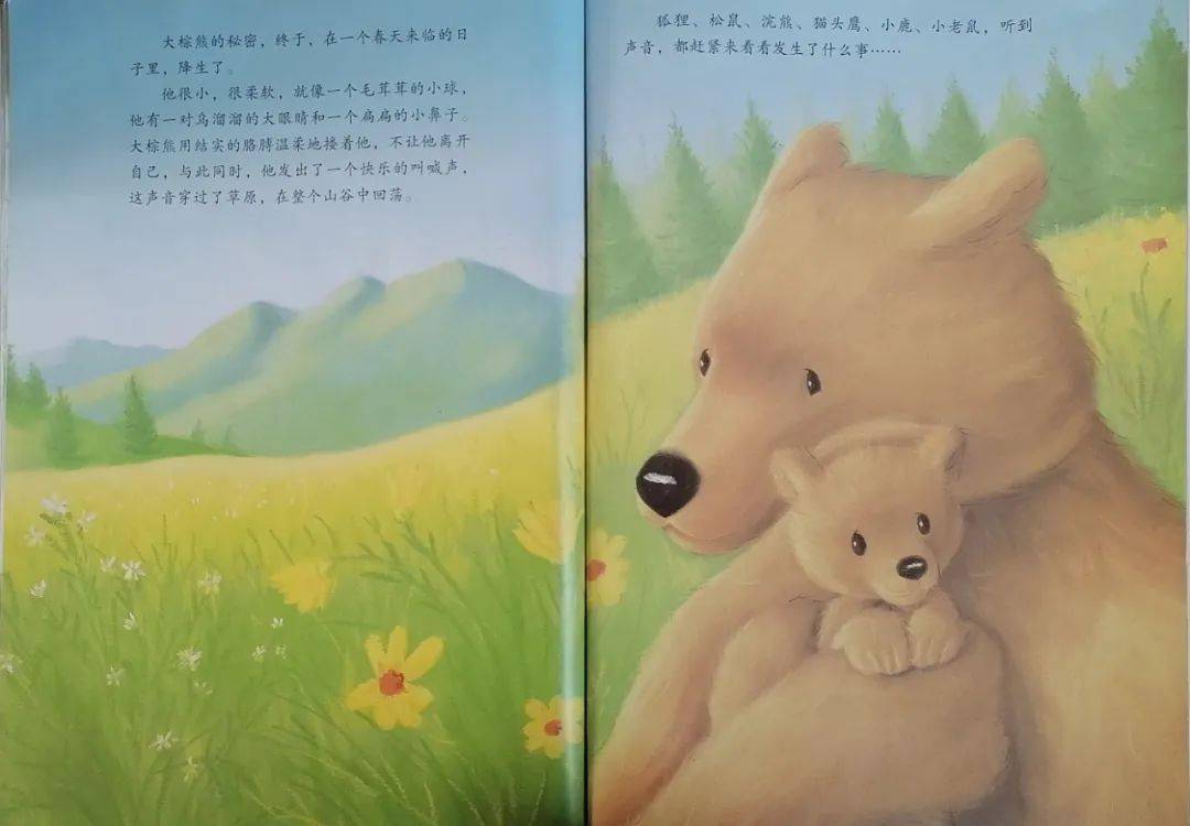 绘本故事屋东大洋幼儿园绘本故事第43期大棕熊的秘密