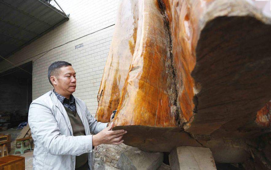 世界最大金丝楠木留存贵阳,重16吨价值超千万_瞿应江_木材_版权