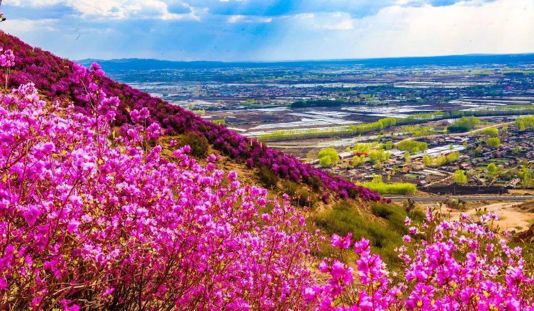 春天总是让人心潮澎湃天气回暖的那一刻让快乐有了着落红色代表着热情