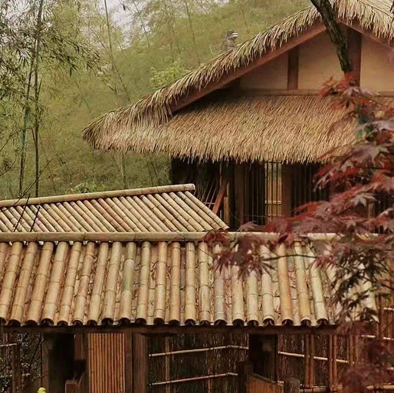住着民宿游泾县丨晓山竹里:竹林中的隐士居所_景区_乡村旅游_查济