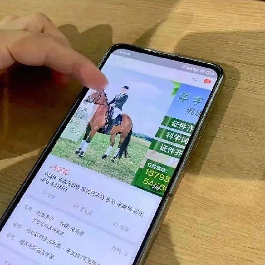 邓伦逃税被罚1.06亿后…粉丝无语:该税的税!不该睡的别睡!_鳄鱼_传宗_毛炉