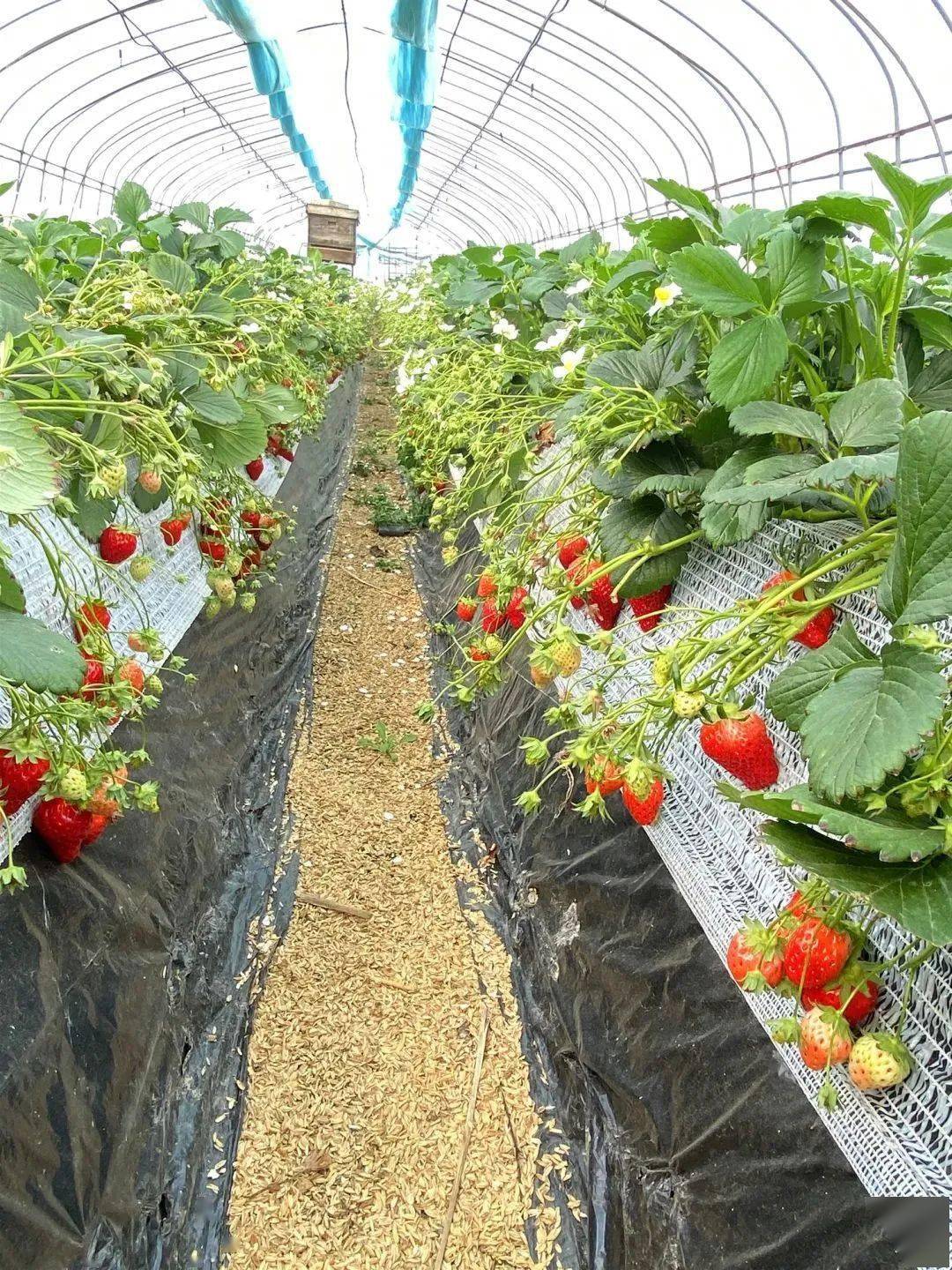 北50米导航:浙江省乔司农场后勤基地(南1门)【开园时间】周五～周日8