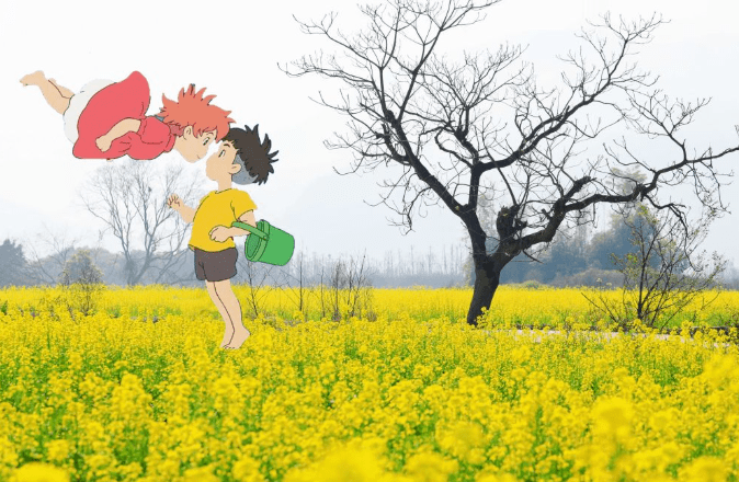云踏青宫崎骏画风的油菜花海惊艳了整个春天