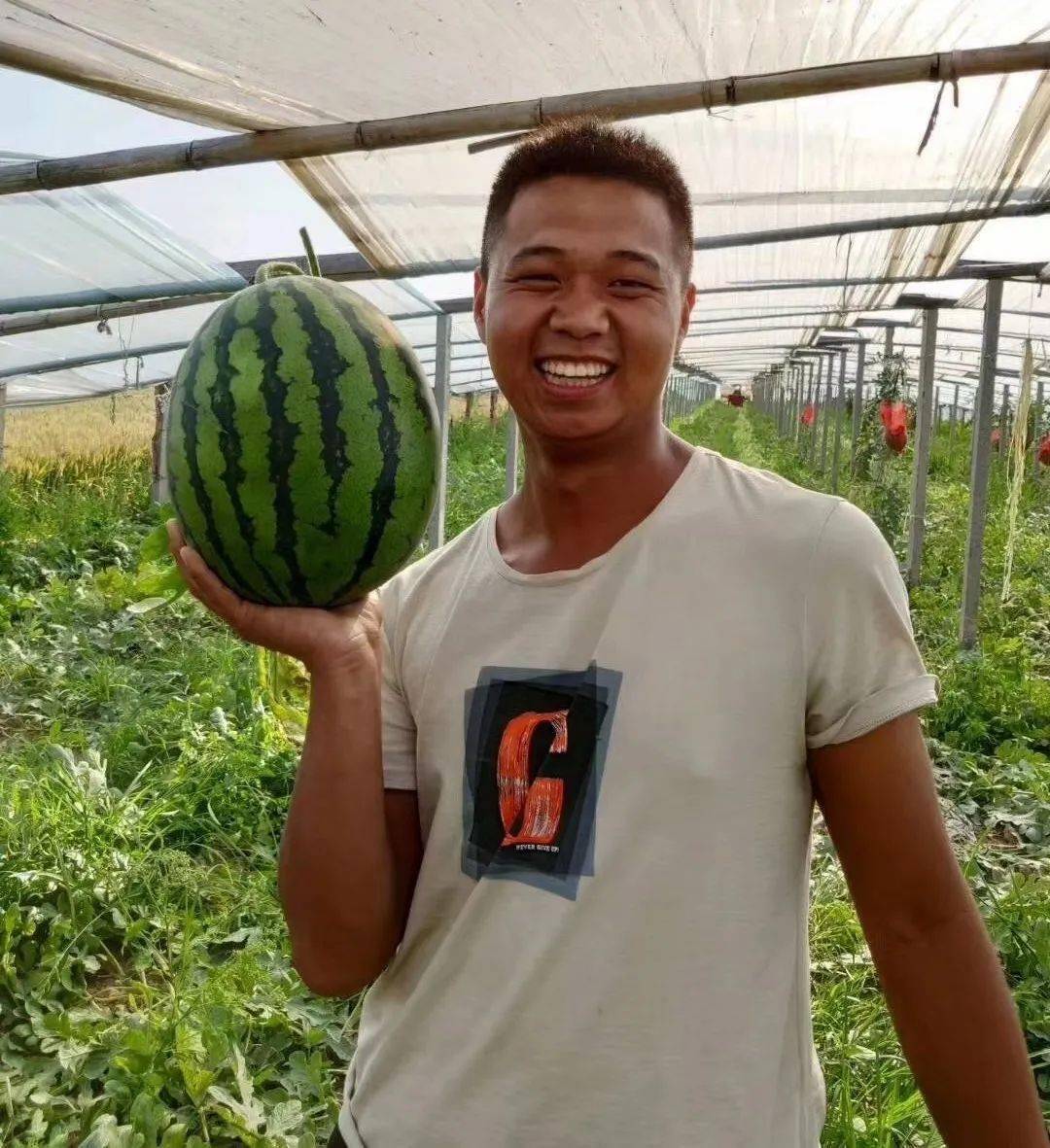 2亿元,一亩田山东小伙9年从菜鸟逆袭王者_刘金宝_种植_客户