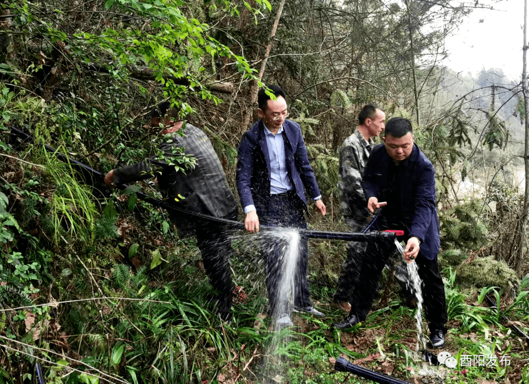 酉陽鄉鎮街道一把手這周在幹啥72