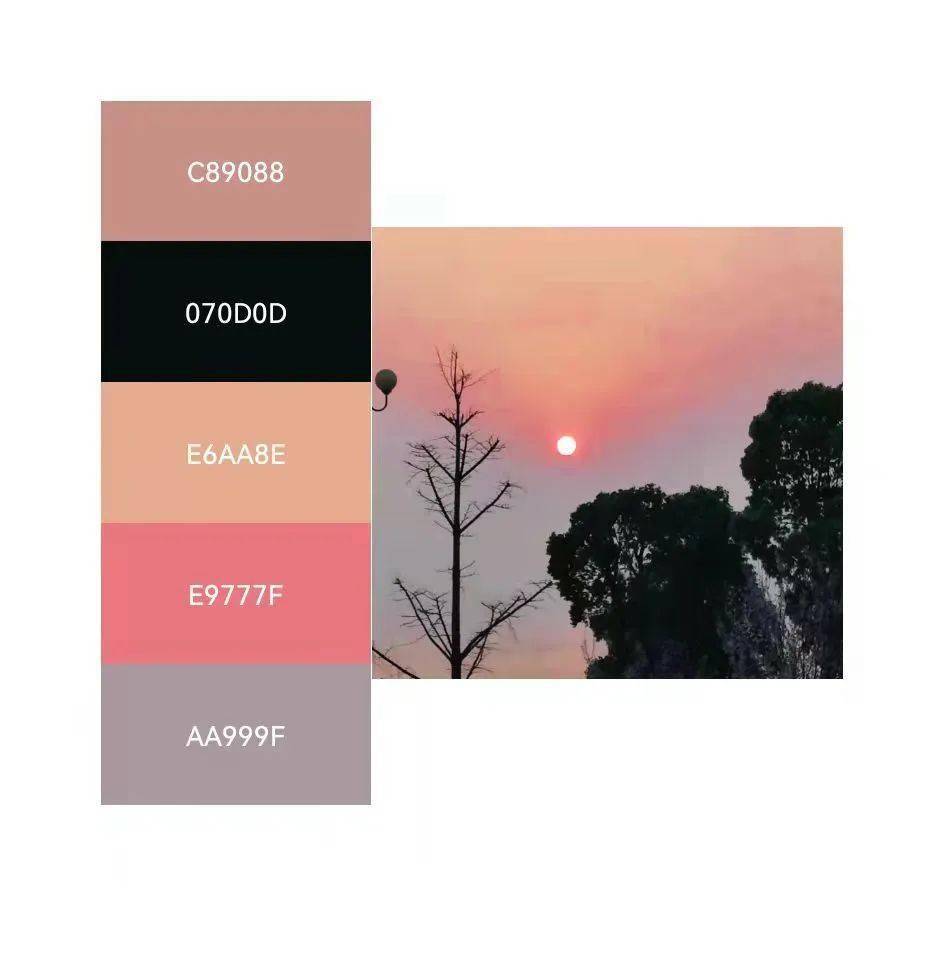 绿色_粉色_梦想