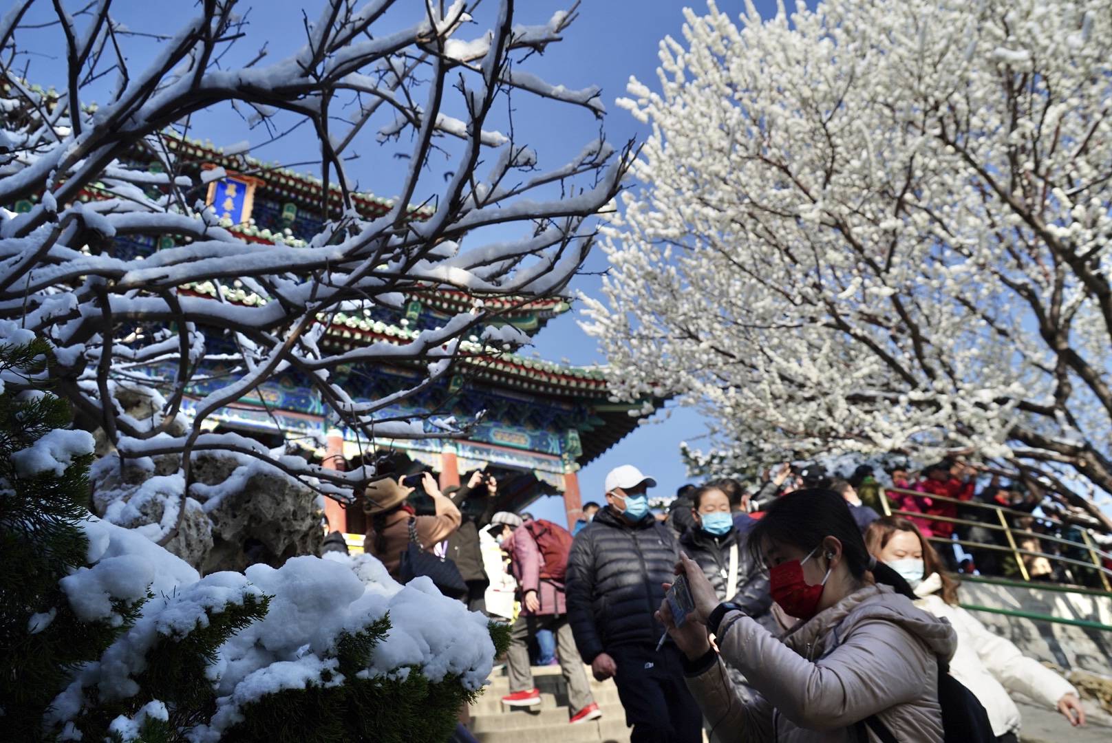 红墙|万春亭上，观白雪红墙