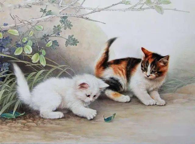 100幅国画猫,太全了~(附教程)_小猫_刘文_邢诚