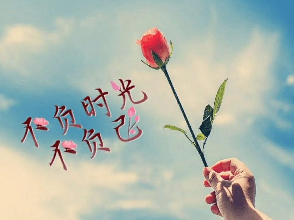 不负时光的唯美图片图片